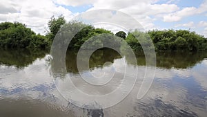 River Wye running through Ross-on-Wye Herefordshire England uk a small market town located on the River Wye pan