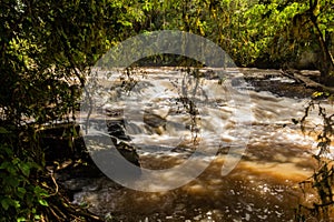 River Yala in Kakamega Forest Reserve, Ken photo