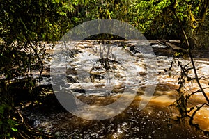 River Yala in Kakamega Forest Reserve, Ken photo