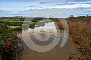 The River Yar at Brading Marshes