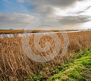 The River Yare, Norfolk Broads, Acle