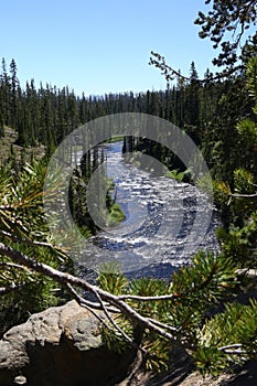 River in Yellowstone National Park