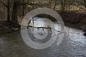 The river Zenn with fast moving water and a tree hanging across the river