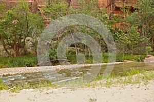 River Zion National Park