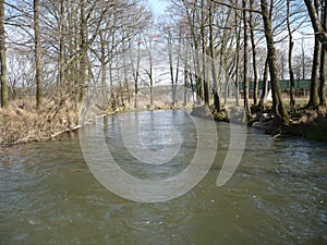 The river Ãšhlava in spring in Pilsen