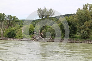 Riverbank of Danube river between Bratislava and Devin, Bratislava