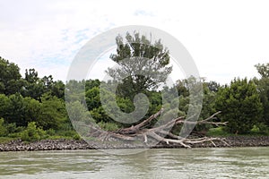 Riverbank of Danube river between Bratislava and Devin, Bratislava