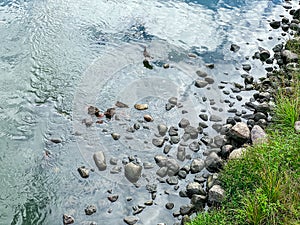 Riverbank with gray wet stones and pebbles. view from above