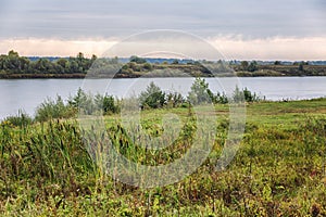 Riverbank with lush green vegetation. Beautiful summer landscape