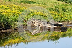 Riverbank reflection photo