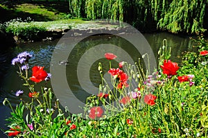 Riverbank in Springtime, Tamworth.