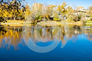 riverbank in urban park in sunny autumn day