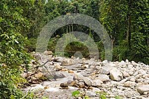 Riverbed with bridge in ruwenzori mountains
