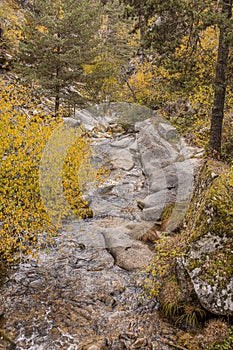 Riverbed of granitic rocks of the river Eresma. Province of Segovia Castilla and Leon. Spain