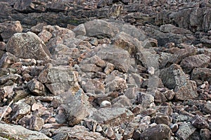 Riverbed in Imatra, Finland