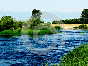 Riverbed and riverbanks covered with green grass and trees in summer.  Bulgaria, River Iskar.