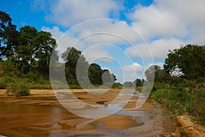 Riverbed running dry (South Africa)