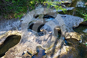 Riverbed for salmon laying eggs at Maritime Heritage Park, Bellingham, Washington