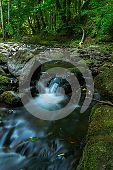 Riverbed at Summertime