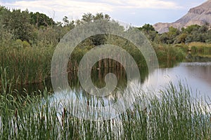 Riverbend Park I, Palisade Colorado