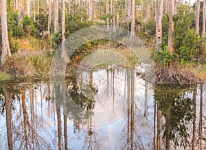 Riverbend Park in Jupiter, Florida