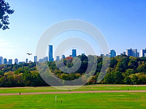 Riverdale Park Toronto view