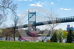 Riverfront on Randalls and Wards Islands with Colorful Plants and Flowers during Spring with a view of the Triborough Bridge