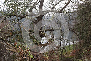 Riverfront Regional Park - is just minutes west of Windsor and surrounded by classic Wine Country scenery. Winter.