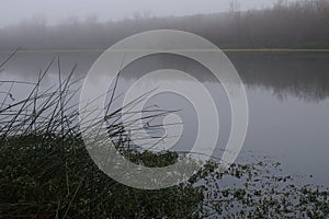 Riverfront Regional Park - is just minutes west of Windsor and surrounded by classic Wine Country scenery. Winter.