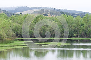 Riverfront Regional Park, Sonoma Wine Country, California