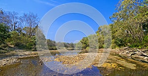 Riverine Forest and River, Royal Bardia National Park, Nepal