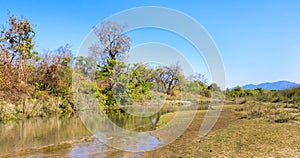 Riverine Forest and River, Wetlands, Royal Bardia National Park, Nepal