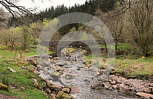 Rivers - Abercynafon Brecon