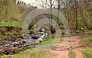 Rivers - Abercynafon Brecon