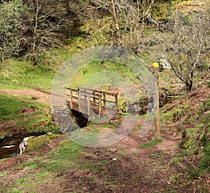 Rivers - Abercynafon Brecon