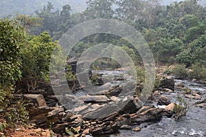 Rivers flowing between mountains and jungle india