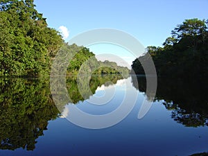 Rivers and Jungles in Peru photo