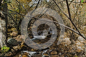 Rivers and streams of water. Pedriza Park, Madrid, Spain.