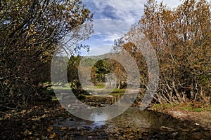 Rivers and streams of water. Pedriza Park, Madrid, Spain.