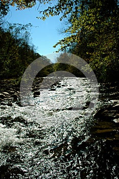 Rivers Trees and Rocks