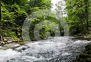 The rivers of vintgard photo