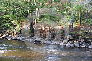 Riverside in autumn photo