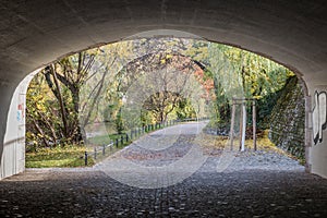 Riverside autumn view