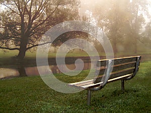 Riverside Bench in Fog