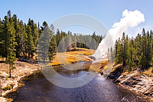 Riverside Geyser Eruption