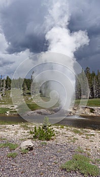 Riverside Geyser by the river, Yellowstone National Park