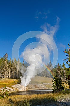 Riverside Geyser at Yellowstone National Park