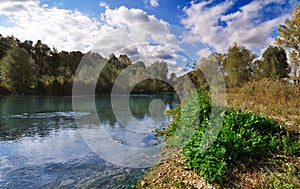 Riverside landscape