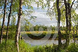 A Riverside landscape in Finnish Lapland