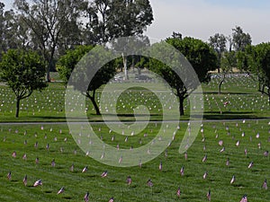 Riverside National Cemetery Memorial Day Flag for every hero 2017